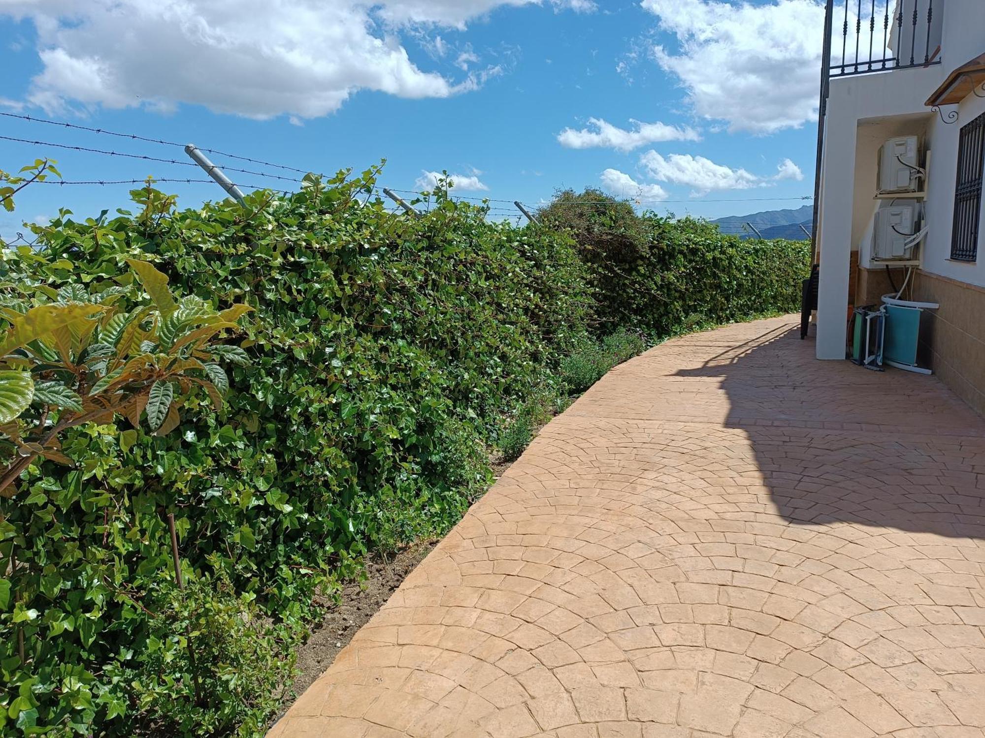 Casa Rural La Revuelta Con Las Mejores Vistas A La Naturaleza Yunquera Exterior photo
